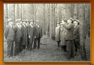 Southern Maryland Forestry Tour at Bowie Plantation. A Group of well-dressed men touring a pine plantation. 1920's. Photo courtesy of U.S. Forest Service