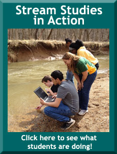 Stream studies in action - click to see what students are doing