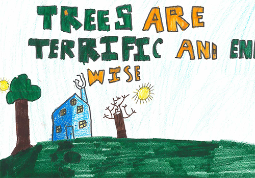 3rd Place Overall 2017 Arbor Day Poster Contest