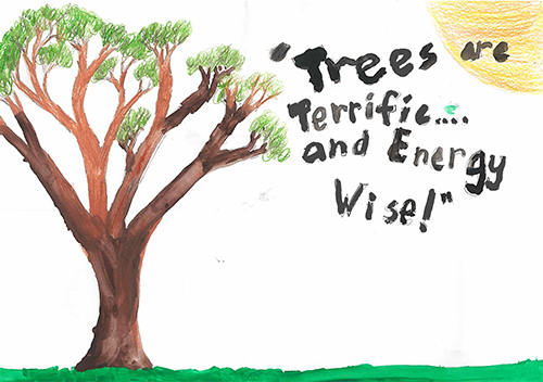 2017 Arbor Day Poster Contest 1st Place in Allegany County: Matthew Topper