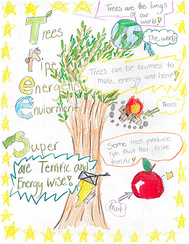 1st Place 2017 Arbor Day Poster Contest in Anne Arundel County: Shaeleigh Fraser