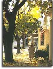 A woman walking down a sidewalk shaded by old majestic trees