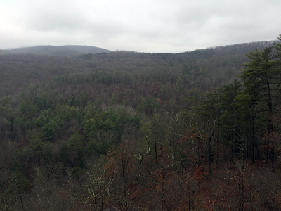 Picture of Green Ridge State Forest.