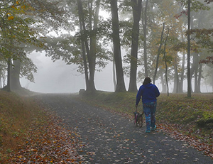 Hiker with dog on Herrington Manor State Park Trail