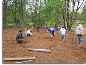 Volunteers plant trees at Seneca Creek State Park.
