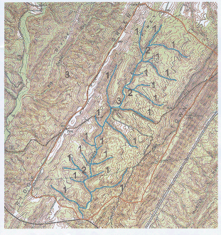 The Terrapin Branch watershed