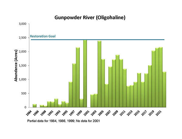 Gunpowder River (Oligohaline)