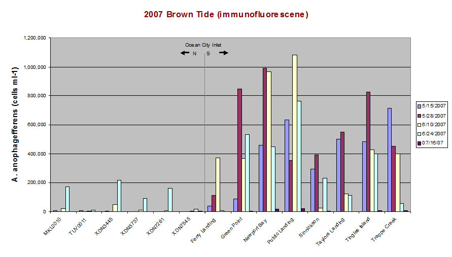 BrownTideCounts-2007.jpg