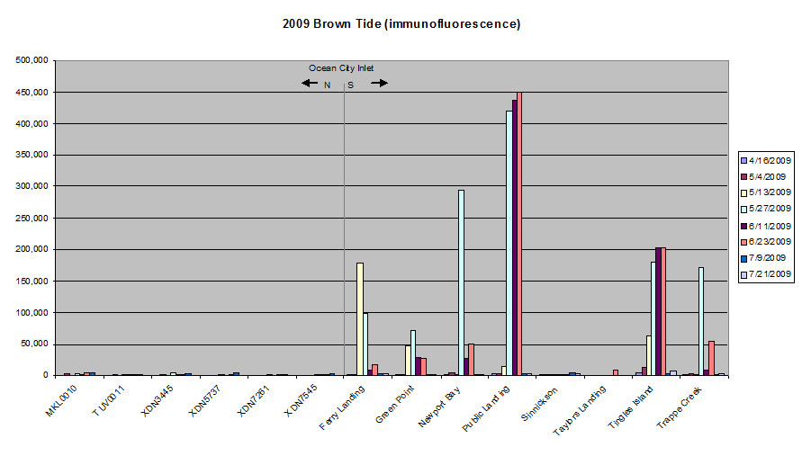 2009 Brown Tide Distribution