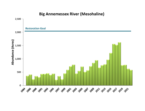 Big Annemessex River (Mesohaline)