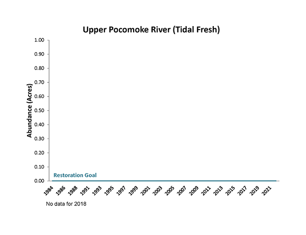Upper Pocomoke River (Tidal Fresh)