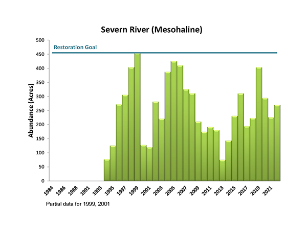 Severn River (Mesohaline)
