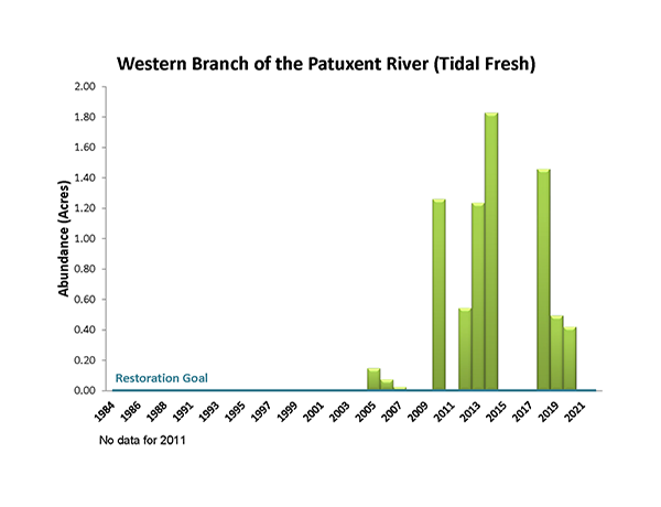 Western Branch of the Patuxent River (Tidal Fresh)