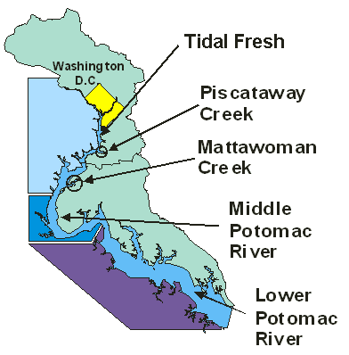 a map of the Potomac River