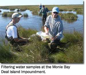 Filtering water samples at the Monie Bay Deal Island impoundment