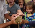 Kids touching a reptile.