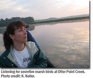 Listening for secretive marsh birds at Otter Point Creek. Photo credit: K. Keller.