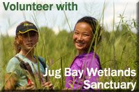 Volunteer with Jug Bay Wetlands Sanctuary