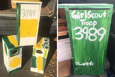 Girl Scout Troop #3989 built and decorated wood duck nest boxes