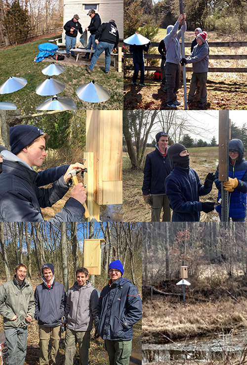 Scout Troop 496 erects makes and erects wood duck boxes