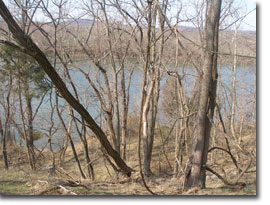 Photo of Prathers Neck WMA where it overlooks the Potomac River