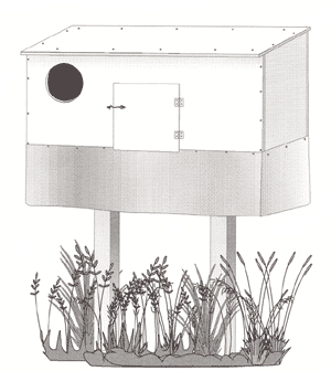 Illustration of Barn Owl Nest Box erected in marshland