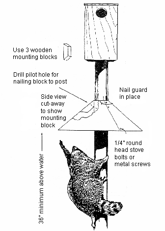 Illustration of cone-shaped predator guard deterring raccoon